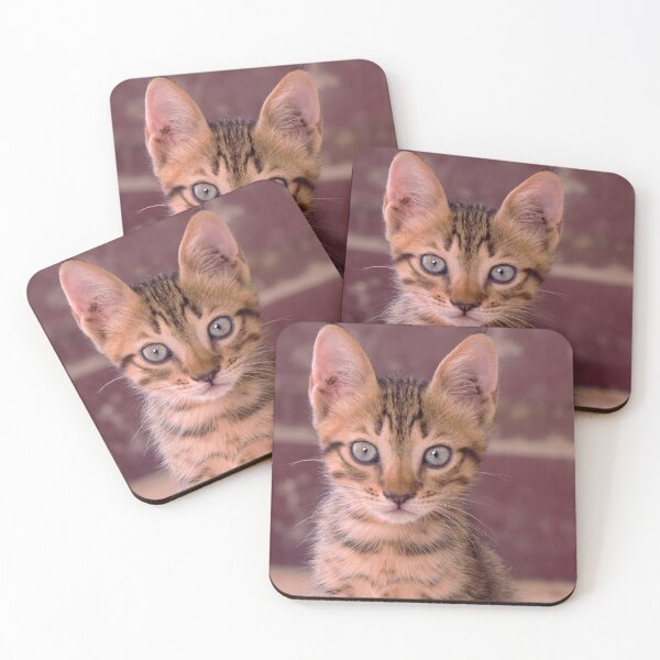 Item preview, Adorable Kitten Stare Cat Ears Cute designed and sold by WichitaClothing.