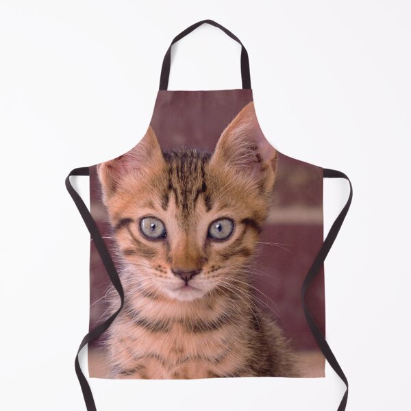 Item preview, Adorable Kitten Stare Cat Ears Cute designed and sold by WichitaClothing.