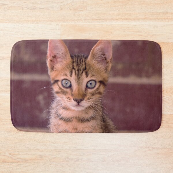 Item preview, Adorable Kitten Stare Cat Ears Cute designed and sold by WichitaClothing.