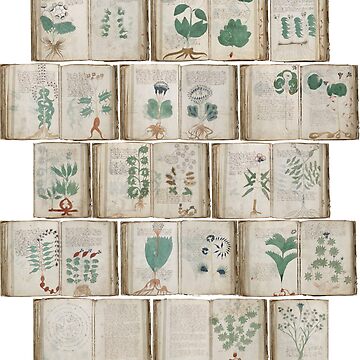 Artwork thumbnail, Voynich by Ben Weber