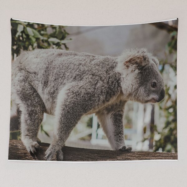 Item preview, Koala Bear Climbing On Tree Australia designed and sold by WichitaClothing.