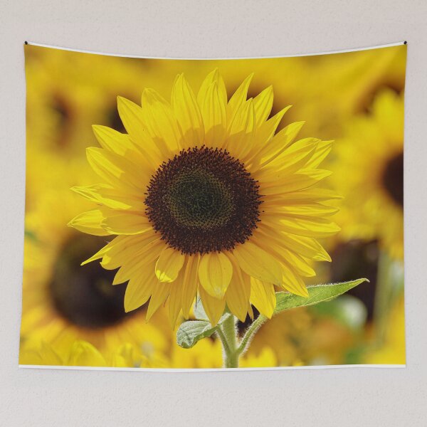 Item preview, Sunflower Patch Yellow Vintage Floral Flower Yellow Summer designed and sold by WichitaClothing.