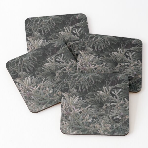 Item preview, Evergreen Up Close designed and sold by Jeremy Schwartz.