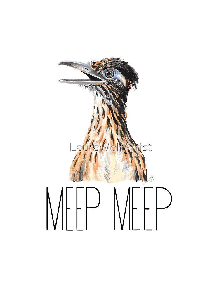 Roadrunner Goes Meep Meep!