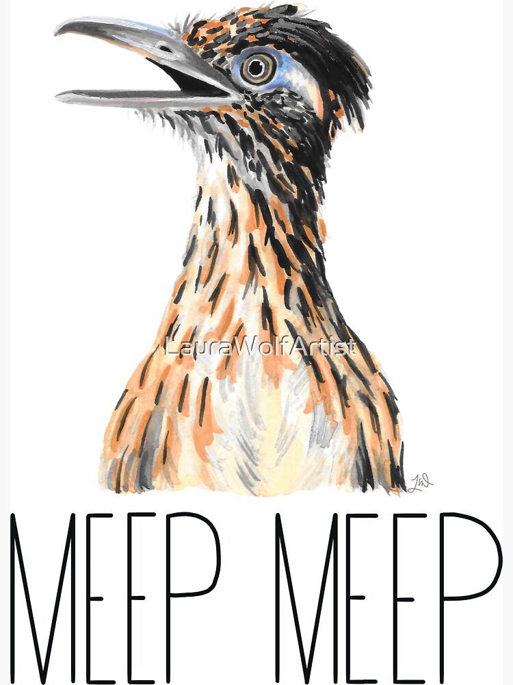 Roadrunner Goes Meep Meep!