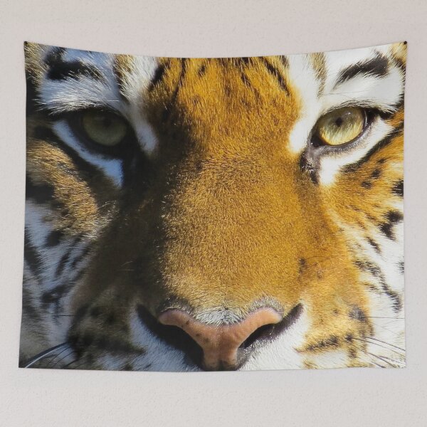 Item preview, Top cats design - Redbubble  designed and sold by Leefs.