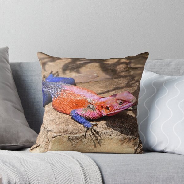Item preview, East African Rainbow Agama, Male  designed and sold by Carole-Anne.