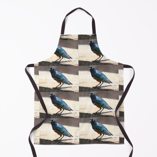 Item preview, Superb Starling, Kenya designed and sold by Carole-Anne.