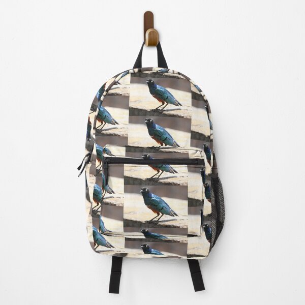 Item preview, Superb Starling, Kenya designed and sold by Carole-Anne.