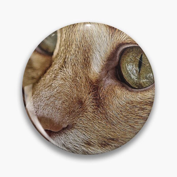 Item preview, Best cats stores  designed and sold by Leefs.