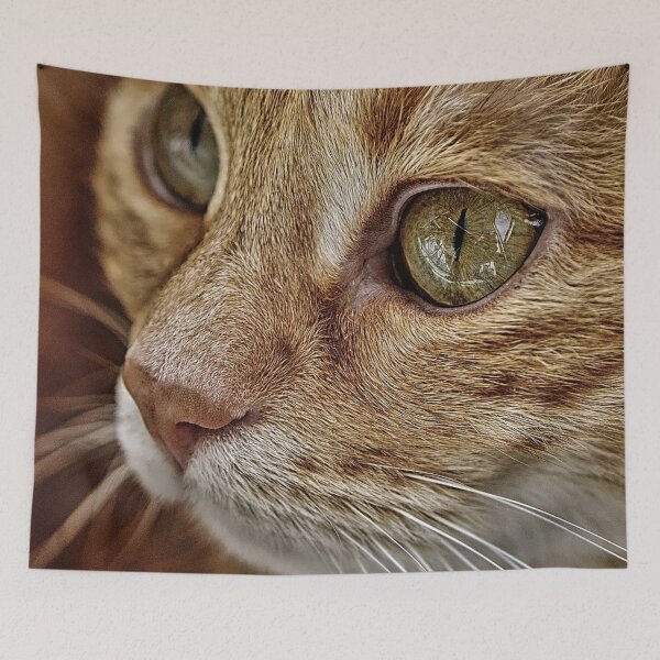 Item preview, Best cats stores  designed and sold by Leefs.