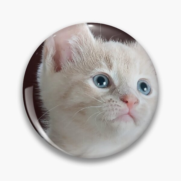 Item preview, Top cats wholesale online  designed and sold by Leefs.