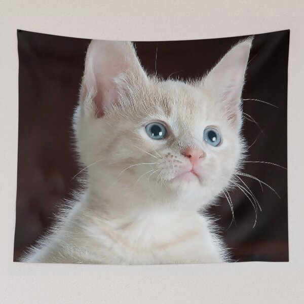 Item preview, Top cats wholesale online  designed and sold by Leefs.