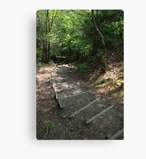Walking down Leigh Hill Canvas Print