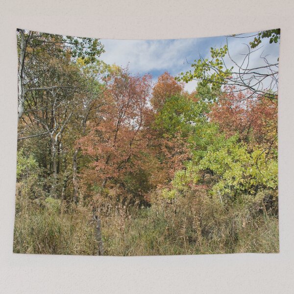 Item preview, Nature photography in the fall season designed and sold by Ventures1.