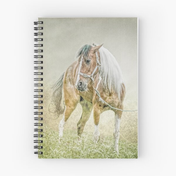 Item preview, Tethered in the mist. designed and sold by Brian Tarr.