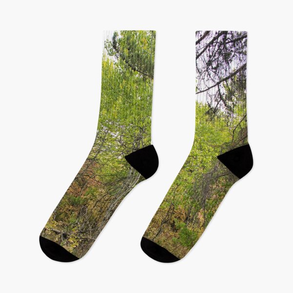 Item preview, Nature photography in the fall season designed and sold by Ventures1.