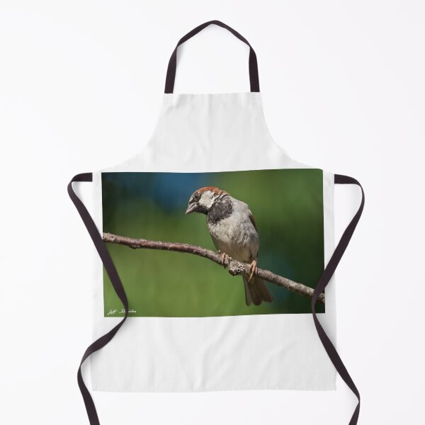 Item preview, Male House Sparrow Perched in a Tree designed and sold by Jeff Goulden Photography.