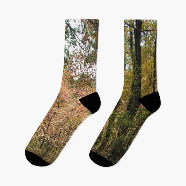 Item preview, Nature photography in the fall season designed and sold by Ventures1.