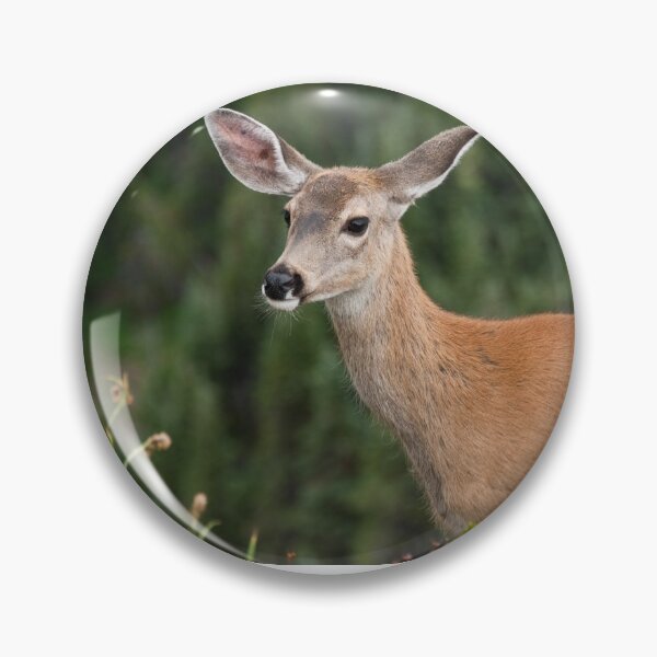 Item preview, Blacktail Doe Looking at the Camera designed and sold by Jeff Goulden Photography.