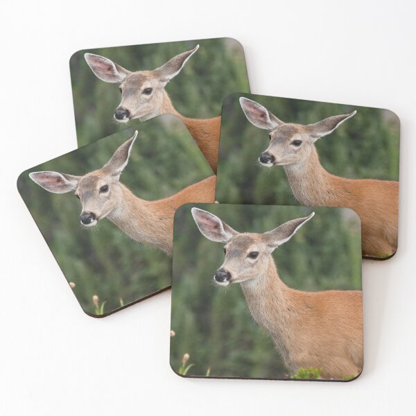 Item preview, Blacktail Doe Looking at the Camera designed and sold by Jeff Goulden Photography.