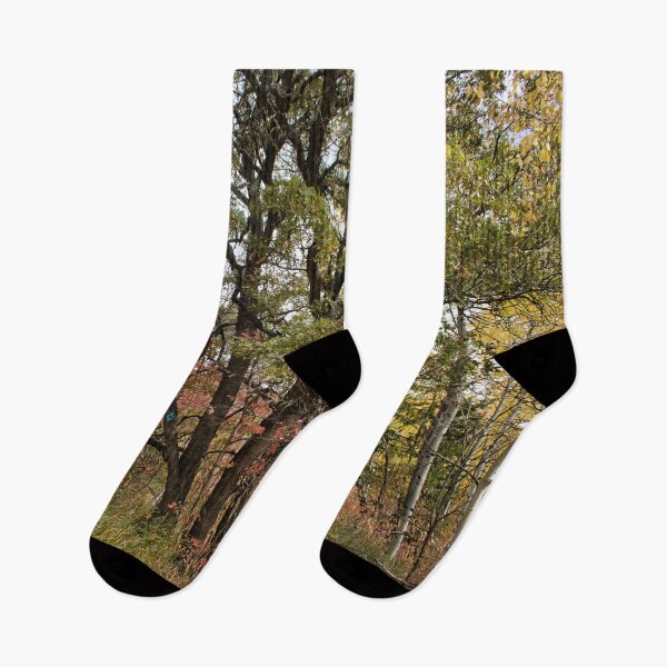 Item preview, Nature photography in the fall season designed and sold by Ventures1.