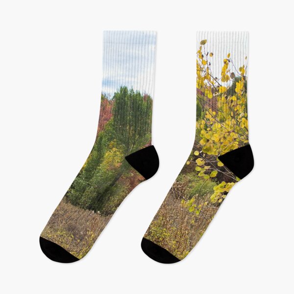 Item preview, Nature photography in the fall season designed and sold by Ventures1.