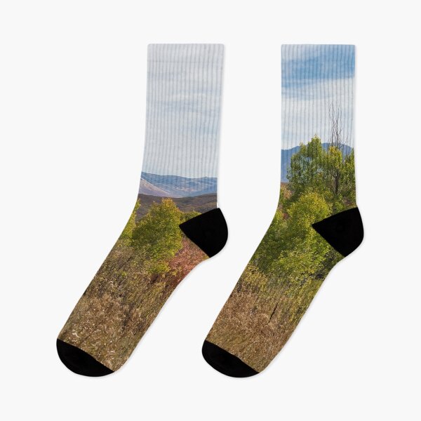Item preview, Nature photography in the fall season designed and sold by Ventures1.