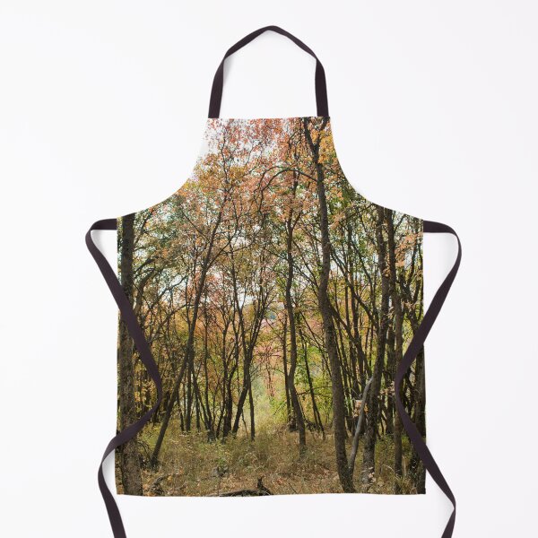 Item preview, Nature photography in the fall season designed and sold by Ventures1.