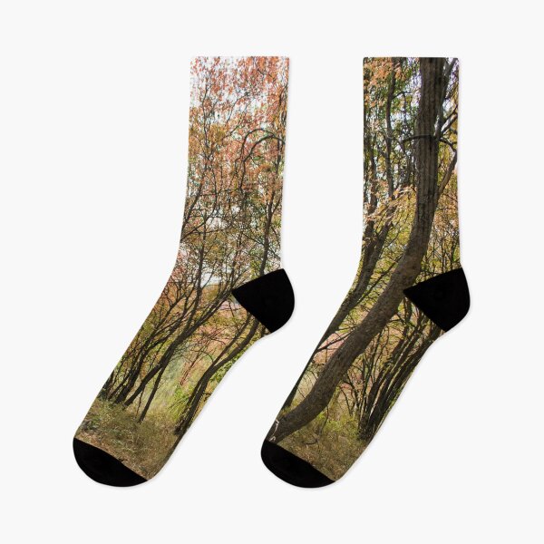 Item preview, Nature photography in the fall season designed and sold by Ventures1.