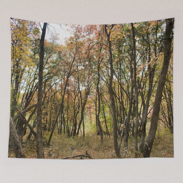 Item preview, Nature photography in the fall season designed and sold by Ventures1.