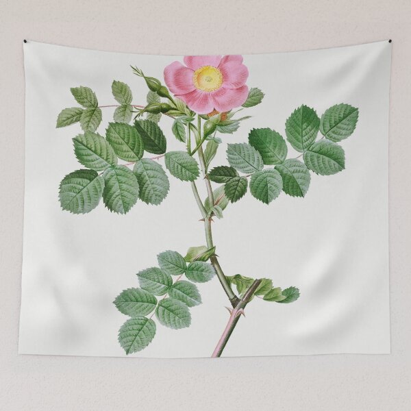 Item preview, Les Roses by Pierre-Joseph Redouté designed and sold by EsotericBotanic.