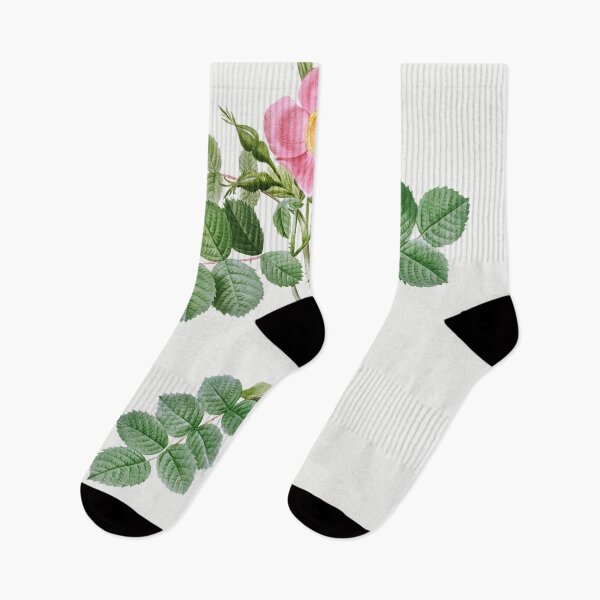 Item preview, Les Roses by Pierre-Joseph Redouté designed and sold by EsotericBotanic.