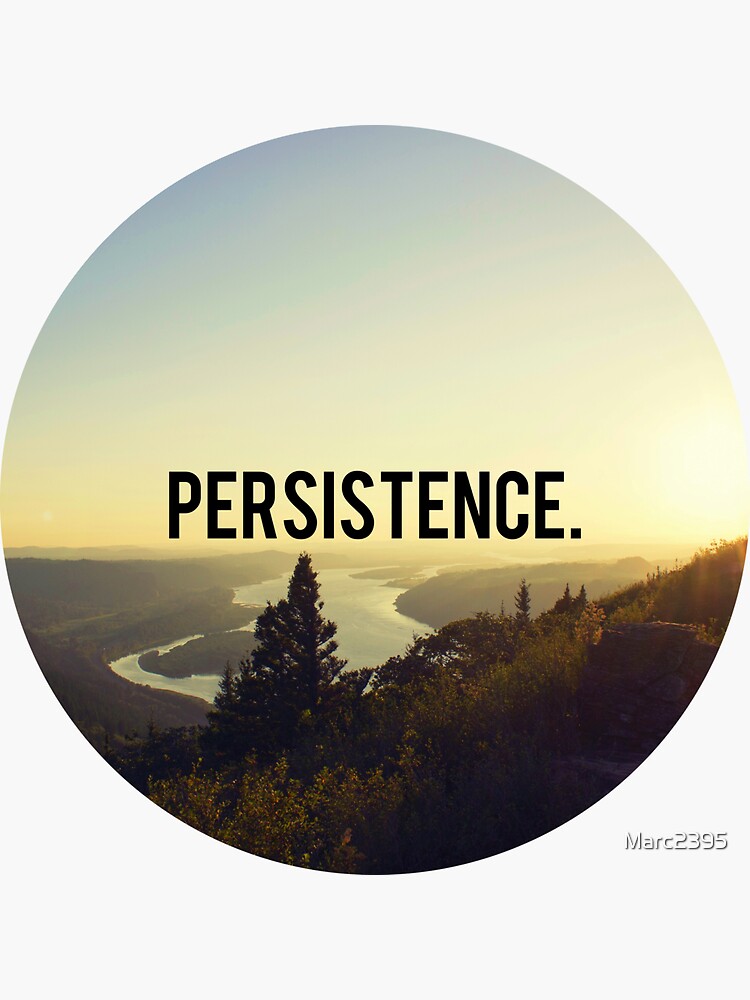 the persistence the persistence