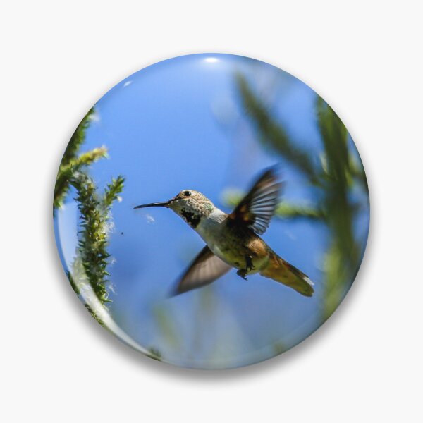 Artikelvorschau, Hummingbird Flying Around entworfen und verkauft von PsychoAlien.com.