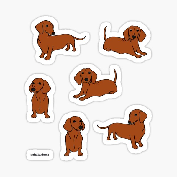 Brown Smooth Dachshund Pattern Sticker Pack Sticker