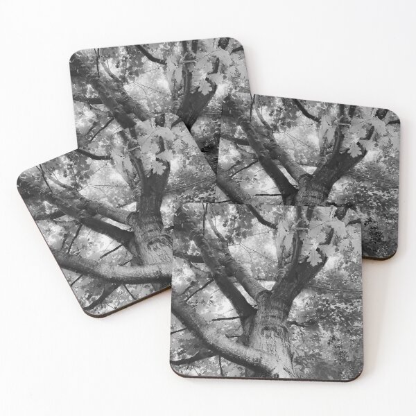 Item preview, closeup big tree branches in black and white designed and sold by Mrvell.