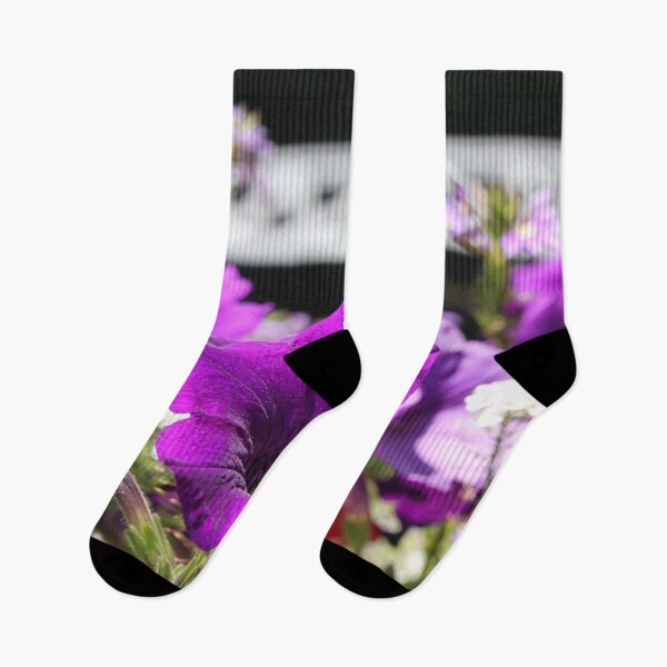 Item preview, Somesville Bloom designed and sold by Autumn Seas Photography.