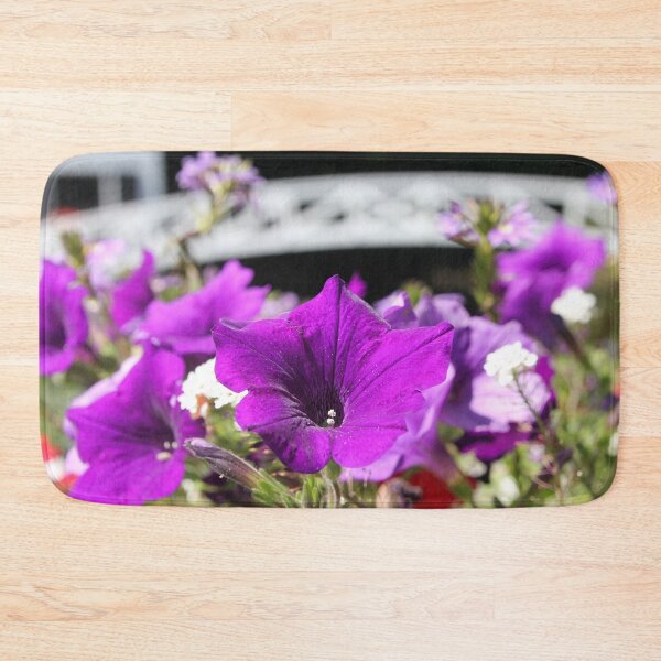 Item preview, Somesville Bloom designed and sold by Autumn Seas Photography.