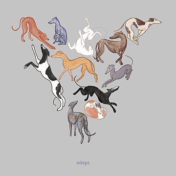 Artwork thumbnail, Greyhound Greys by tinaschofield