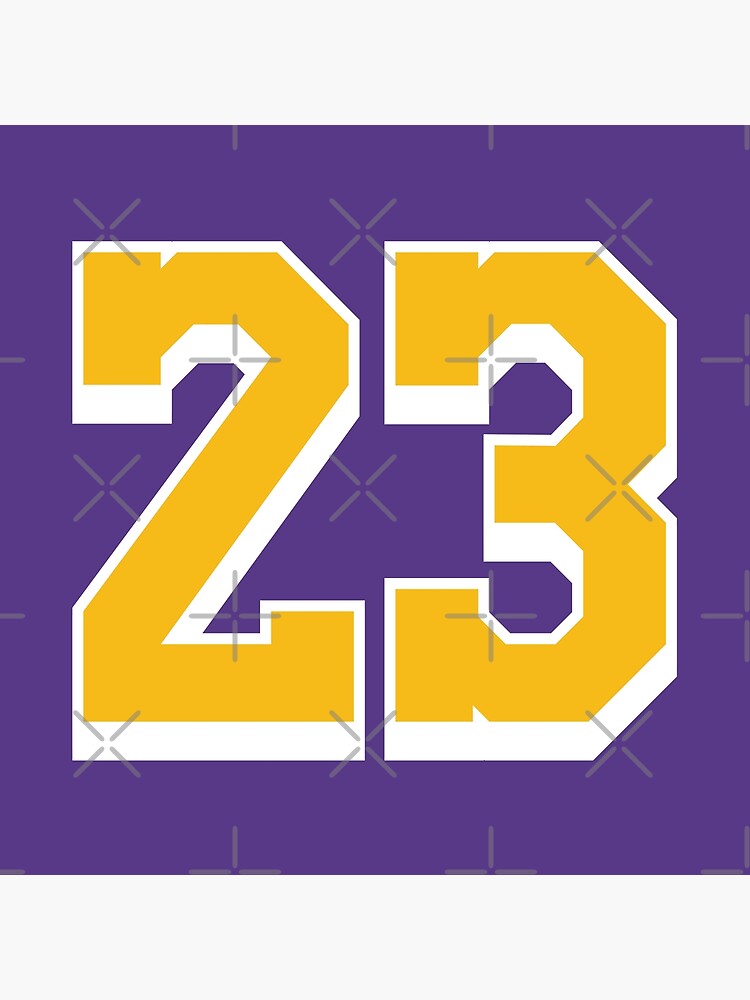  Number 23 Front & Back Basketball Jersey Purple Yellow