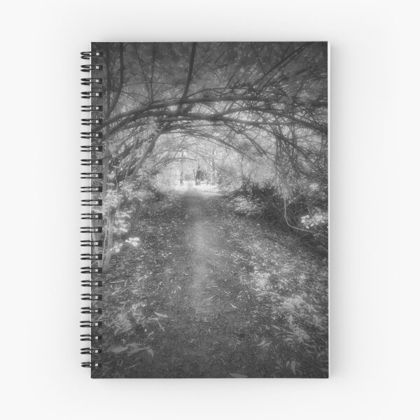 Item preview, Silver Path designed and sold by Matthew Larsen.
