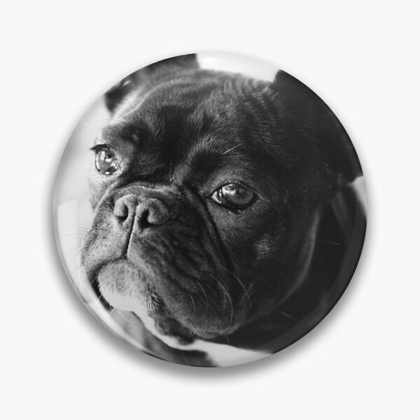 Item preview, French Bulldog designed and sold by Falko-Follert.