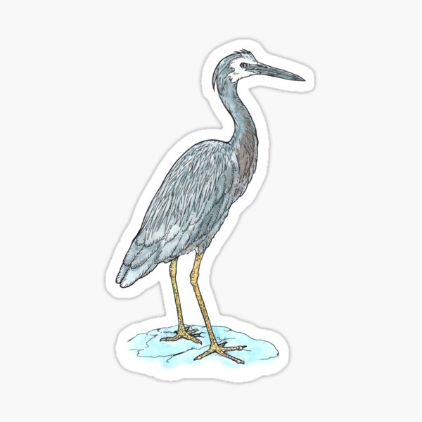 Item preview, White-faced Heron designed and sold by bangart.