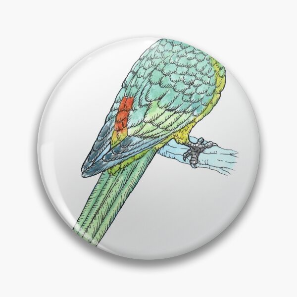 Item preview, Red-rumped Parrot  designed and sold by bangart.