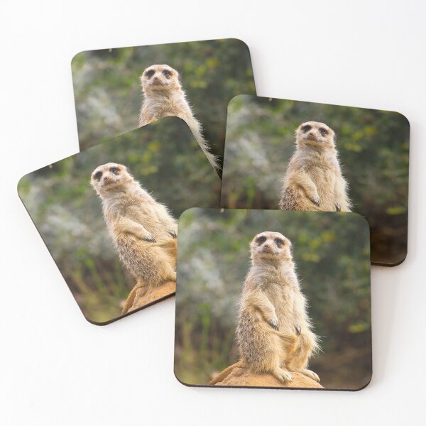 Item preview, Meerkat designed and sold by ppddesigns.