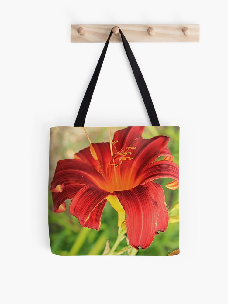 Bolsa de tela «Flor de azucena naranja y roja» de Astralia | Redbubble