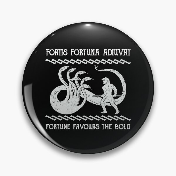 Item preview, Fortis Fortuna Adiuvat Fortune Favours the Bold Hero designed and sold by h44k0n.