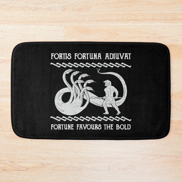 Item preview, Fortis Fortuna Adiuvat Fortune Favours the Bold Hero designed and sold by h44k0n.