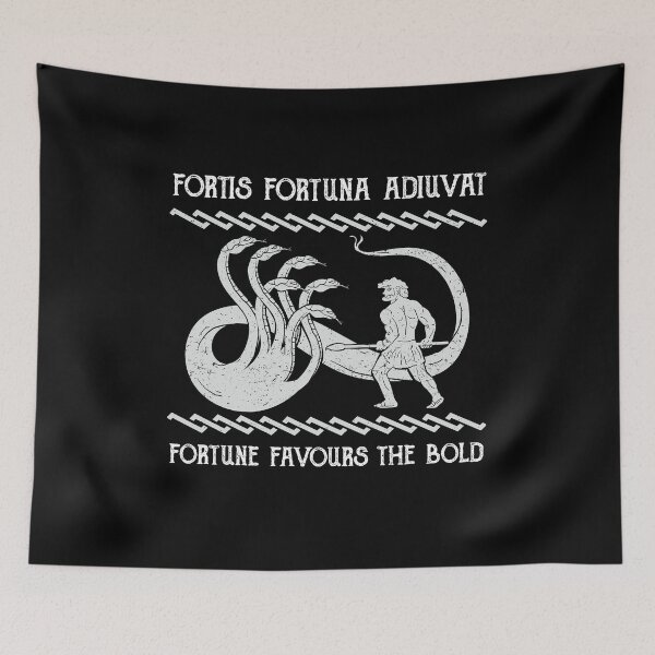 Item preview, Fortis Fortuna Adiuvat Fortune Favours the Bold Hero designed and sold by h44k0n.